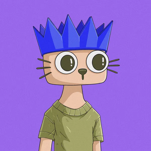 Custom Cets for @OnlyNoobs123